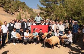 Şampiyon pehlivanlar omuzlarla taşındı, koçlar...