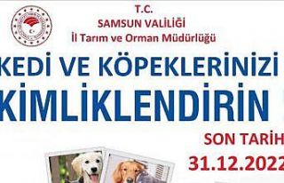 Samsun’da 7 bin 277 evcil hayvan mikroçip uygulanarak...