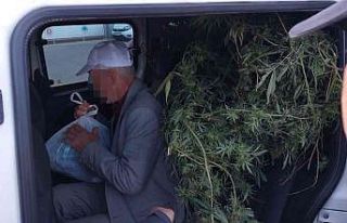 Samsun’da sokak satıcılarına ’Kökünü Kurutma...