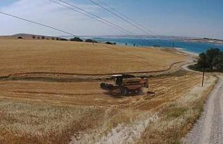 Şanlıurfa’da benzerine rastlanmamış olay: Vatandaş...