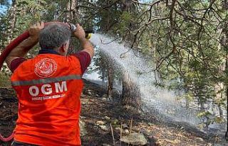 Sarıkamış’ta ormanlık alanda çıkan örtü...