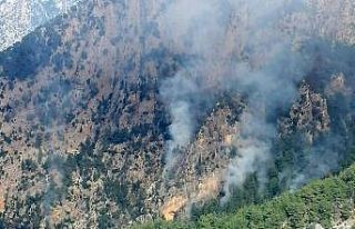 Sarp arazide çıkan orman yangınını kontrol altına...
