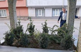 Şehir efsanesi köyü ikiye böldü...O mezar aşkından...