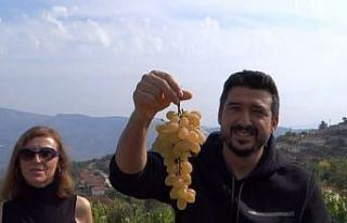 Şehir stresinden bağ bozarak kurtuldular