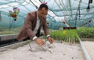 Seralar hem belediyenin hem de vatandaşın ihtiyacını...