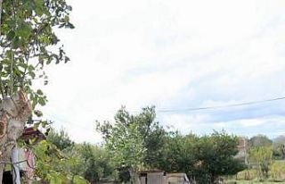 Sinop’ta engelli ailenin kapısına asfalt serildi