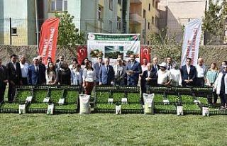 Şırnak’ta seralara kadın eli değdi