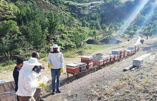 Şırnak’ta uzman eller projesi tamamlandı
