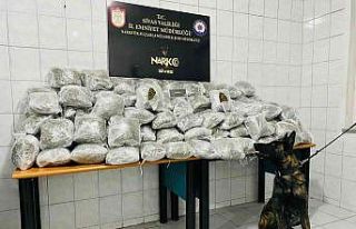 Sivas’ta uyuşturucu tacirlerine darbe