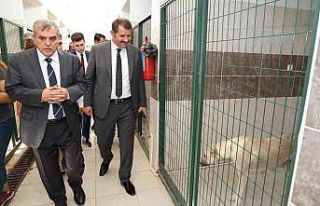 Siverek Hayvan Rehabilitasyon Merkezinde inceleme