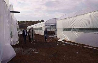 Siverek’ten mevsimlik göç seralarla önlenecek