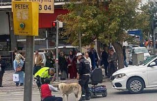 Sokak köpeği otomobilin çarptığı vatandaşın...