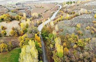 Sonbahardan kışa geçişte renk cümbüşü oluşturan...