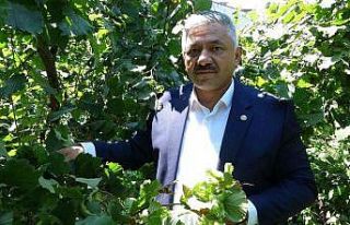 Soydan: “Serbest piyasa üreticiler kadar manavları...