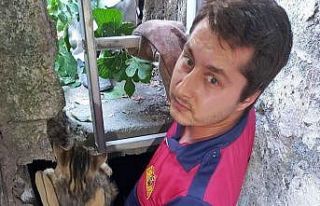 Su kuyusuna düşen kediyi itfaiye kurtardı