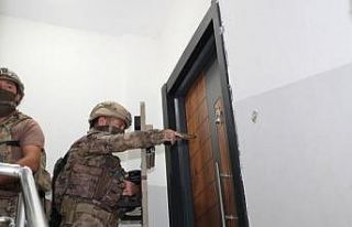 Suç örgütleri operasyonunda gözaltına alınan...