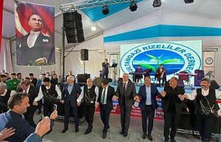 Sultangazi’de 3 ton hamsi dağıtıldı