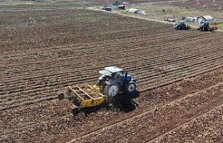 Tarımda rekor üstüne rekor