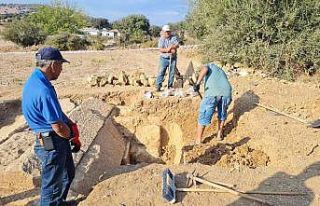 Tarlada heyecanlandıran keşif
