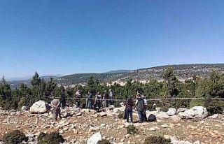 Tarsus’ta defne üretim tatbikatı yapıldı