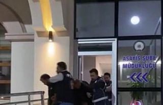 Tek seferde 7 aracı çekicilere yükleyip çalan...