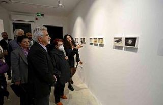 ’Tekinsiz’ sergi izlenime açıldı