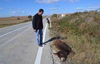 Tekirdağ yürek burkan görüntü: Arabanın çarptığı...