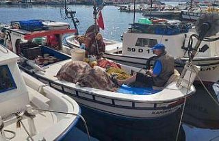 Tekirdağ’da balıkçılar 4 gündür denize açılamıyor