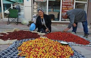 Tercan dağlarında yetişen yaban meyveleri pazar...