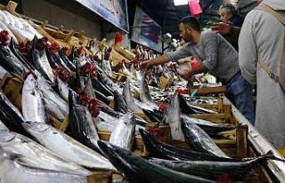 Tezgahlarda balık çeşitliliği arttı