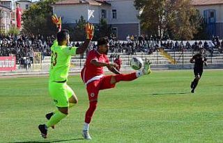 TFF 3. Lig: Karaman FK: 2 - Ayvalıkgücü: 3