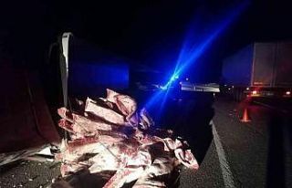 Tır devrildi, tonlarca karkas et yola saçıldı