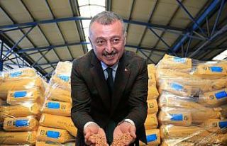 Tohum desteğine 4 bin 400 çiftçi başvurdu