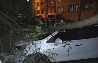 Trabzon’da şiddetli rüzgar etkili oldu