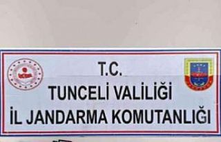 Tunceli’de uyuşturucu operasyonu: 1 gözaltı
