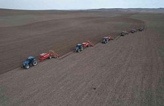 Türkiye tohum piyasasının 15 bin tonuna ev sahipliği...