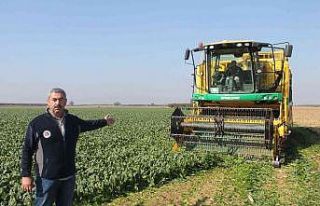 Türkiye’nin ıspanak ihtiyacının dörtte birini...