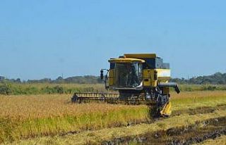 Türkiye’nin tarla bitkileri, meyve ve sebze ambarı...