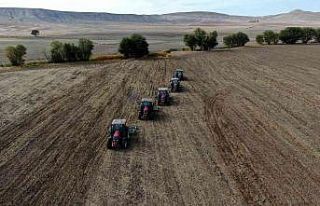 Türkiye’nin tritikale ihtiyacının yüzde 50’si...