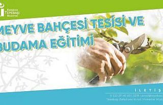 Üreticiler için eğitim çalışmaları sürüyor