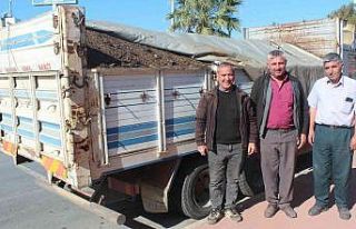 Üzüm bağlarına doğal gübre