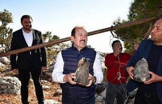 Vali Pehlivan, ’obruk peyniri’ çıkarma etkinliğine...