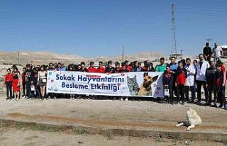 Van’da ‘4 Ekim Dünya Hayvanları Koruma Günü’...