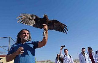 Van’da tedavileri tamamlanan 300 yabanî hayvan...