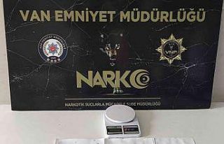 Van’da ‘torbacı’ operasyonu