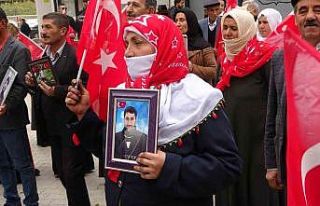 Vanlı ailelerin evlat nöbeti devam ediyor