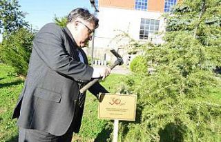 Vefat edenlerin anısı dikilen fidanlarla yaşatılacak