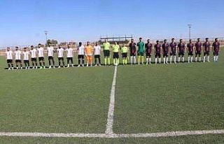 Viranşehir 3 puanı 3 golle aldı