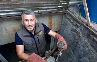 Yağmur suyu mazgalına sıkışan sansar kurtarıldı