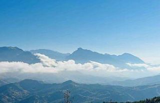 Yağmurdan sonra oluşan sis kartpostallık manzara...